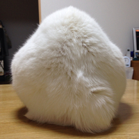 白くてふわふわした何か 2017/03/09 18:00:00