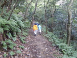 登山です
