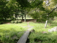 登山です