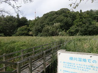 登山です