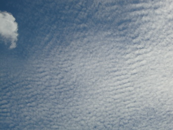 大好きな空