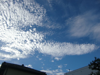 今日の空～