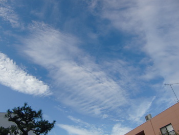 今日の空～