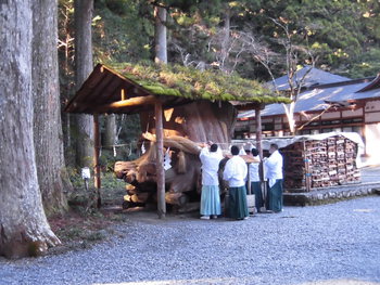2017年新年の挨拶