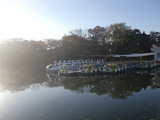 東京めぐり