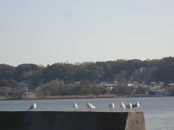 佐鳴湖