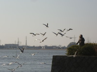 佐鳴湖