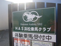 乗馬体験