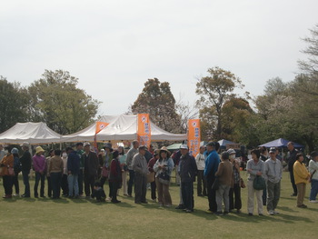 緑化祭