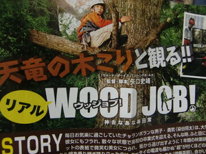 WOOD JOB!