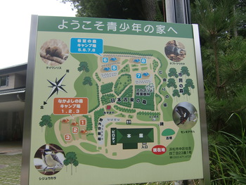 デイキャンプ