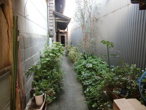 森町蔵展～