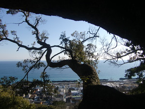 おめでとうございます。