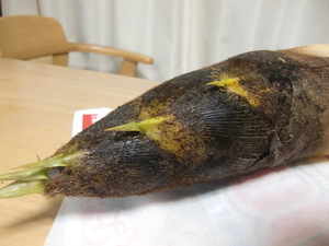 たけのこ