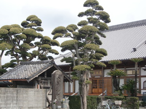 法要