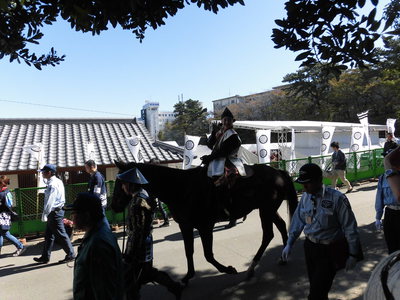 浜松城公園では