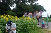 ひまわり畑で「季節を楽しむ写真講座」が開催されます！ 2015/07/18 09:25:00