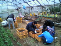 種まきもしましたよ(^^) 2014/03/30 22:52:00