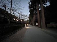 夕方の参道 2023/01/05 18:00:00