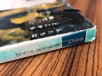 私たちはどこから来て、どこへ行くのか　宮台真司著