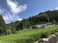 

たきま園お茶工場からの… 2020/06/04 22:11:14