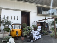 素敵な雑貨屋さん 2020/08/02 17:03:45