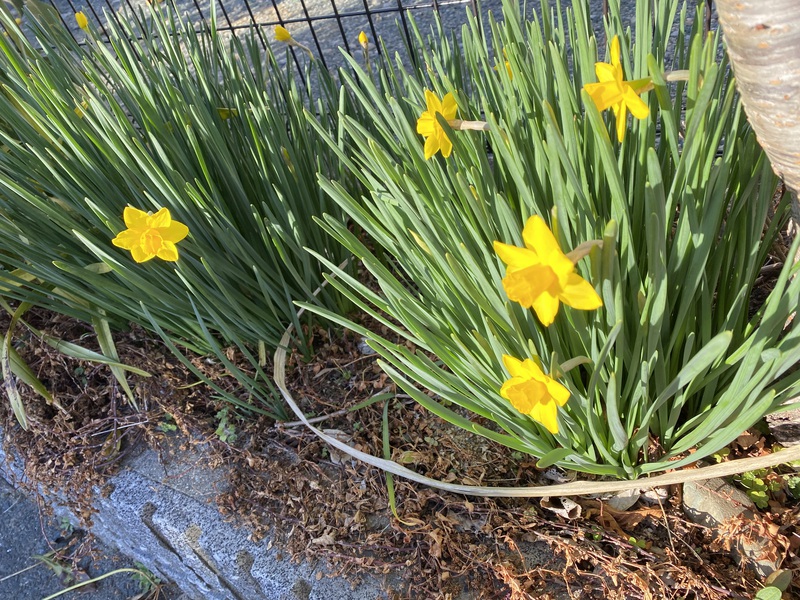 ３月
