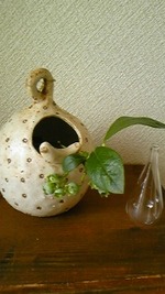お花雑貨・caillouさん