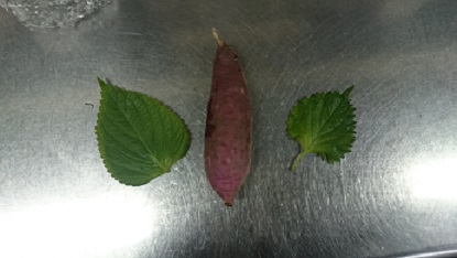 今日もありがとう！