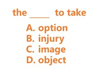 英検準二：option/injury/image/object  (復習) 2025/01/04 14:49:05