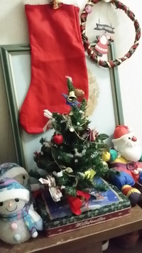 我が家にクリスマスがやって来た！ 2015/12/17 12:37:06