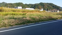 船明に着きました！ 2015/11/06 14:35:47