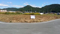 船明に来ています！ 2015/10/17 09:52:41