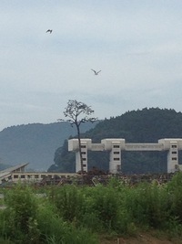 東日本応援団 2013/07/11 17:46:45