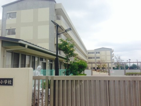 チラシ配布開始！