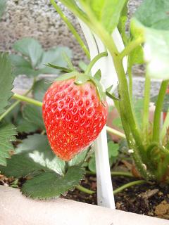 アタシの☆あきひめ☆