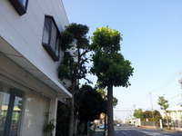 お休みのお知らせ 2012/08/26 22:38:11