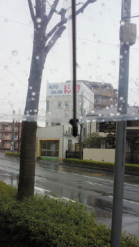 雨だっ(T_T) 2012/02/07 08:29:03