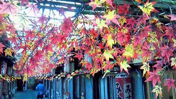 １２月２日に聴いたリスト