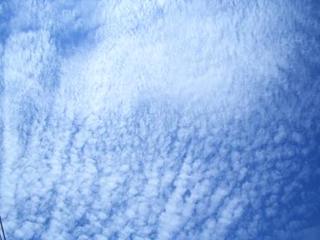 ひつじ雲♪
