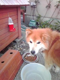 トムと僕 2010/03/09 23:27:43
