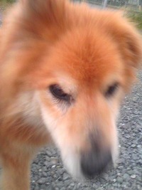 うほ〜 2010/05/28 18:06:28