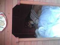 ポケ〜 2010/03/21 14:14:51