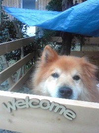 今日は曇りやね 2010/03/23 13:41:53
