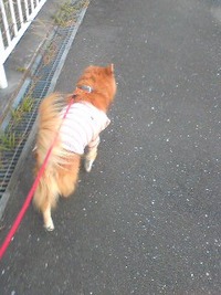 3月27日の記事 2010/03/27 16:11:57