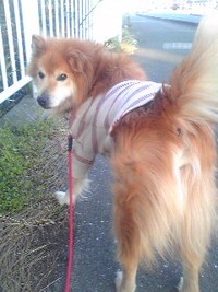おい！ 2010/03/29 17:29:15
