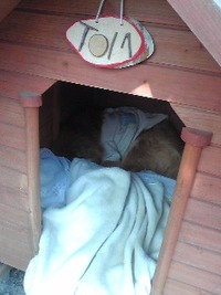 おはよう… 2010/04/03 09:29:28
