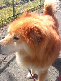 今日は暖かいので… 2010/04/21 14:31:11