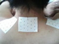 年かな。。。 2006/06/18 13:18:40