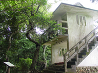 犬居城址
